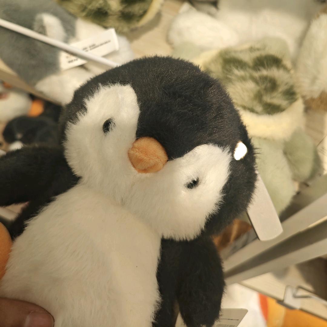 幺幺.🔮（白菜接）