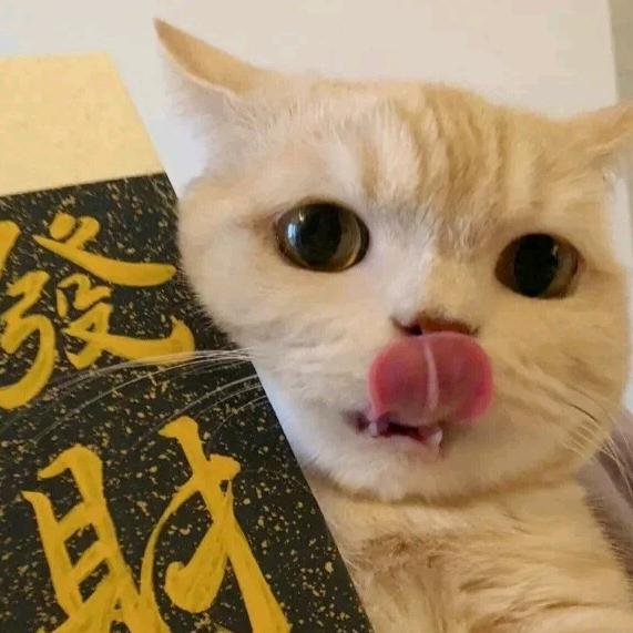 练习两年半的鲲