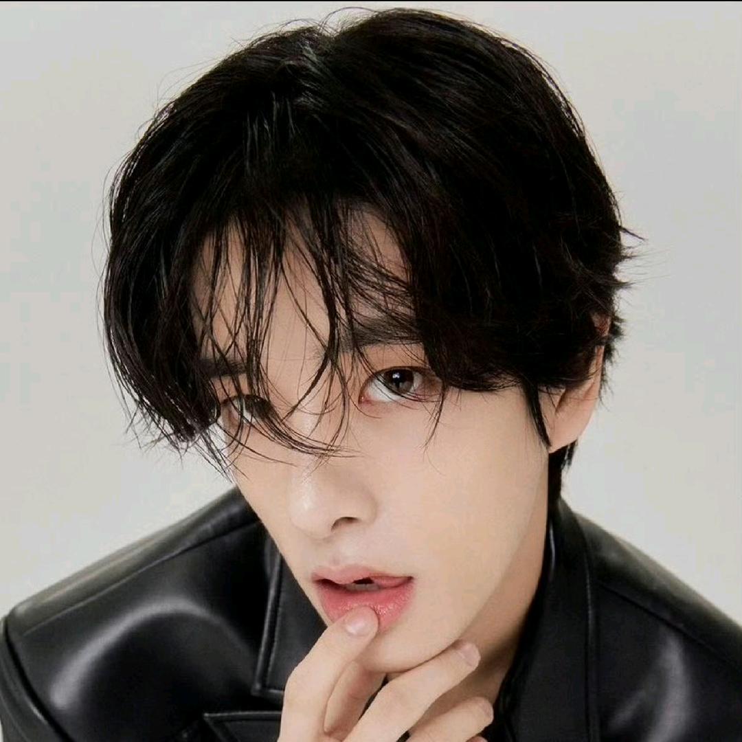 会遇到卷毛小狗吗