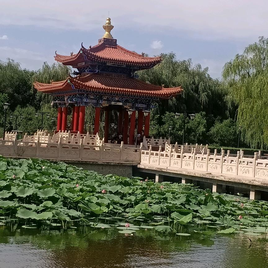 小草