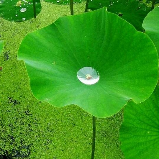 淌游橱窗