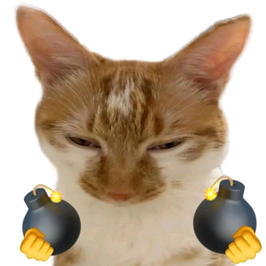 土豆🥔爱吃恋恋