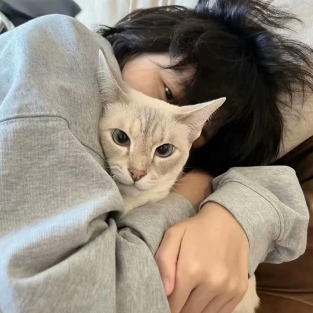 小豪