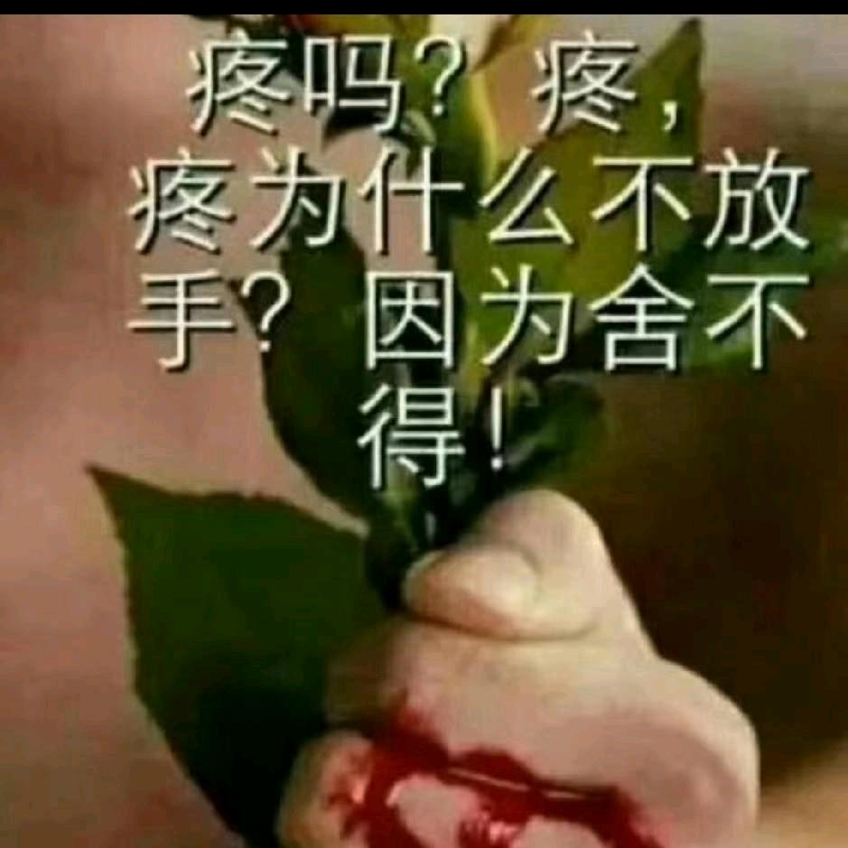 爱情欠费情已停机