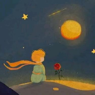 小王子的玫瑰🌹