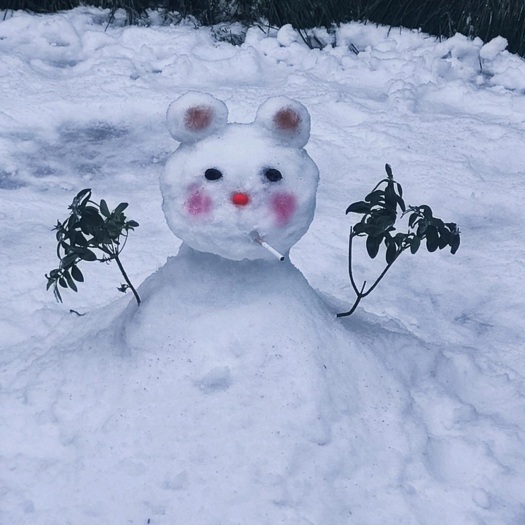 雪人☃️