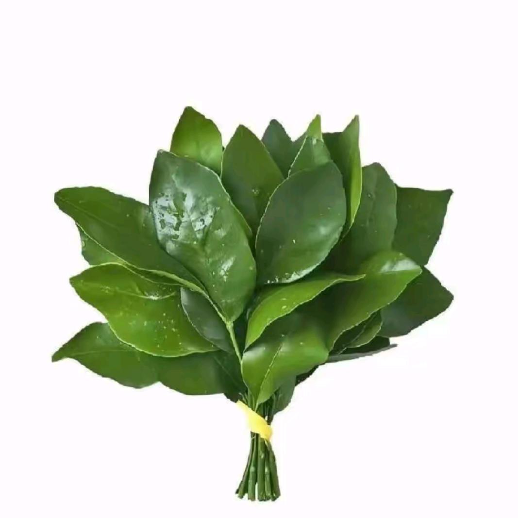 刘歌