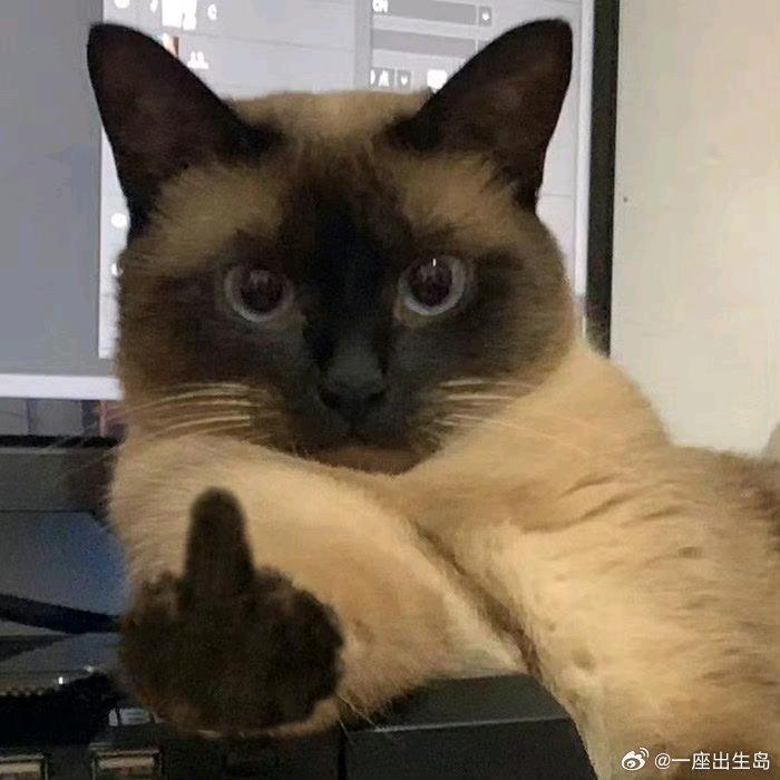 无法被安排的雨