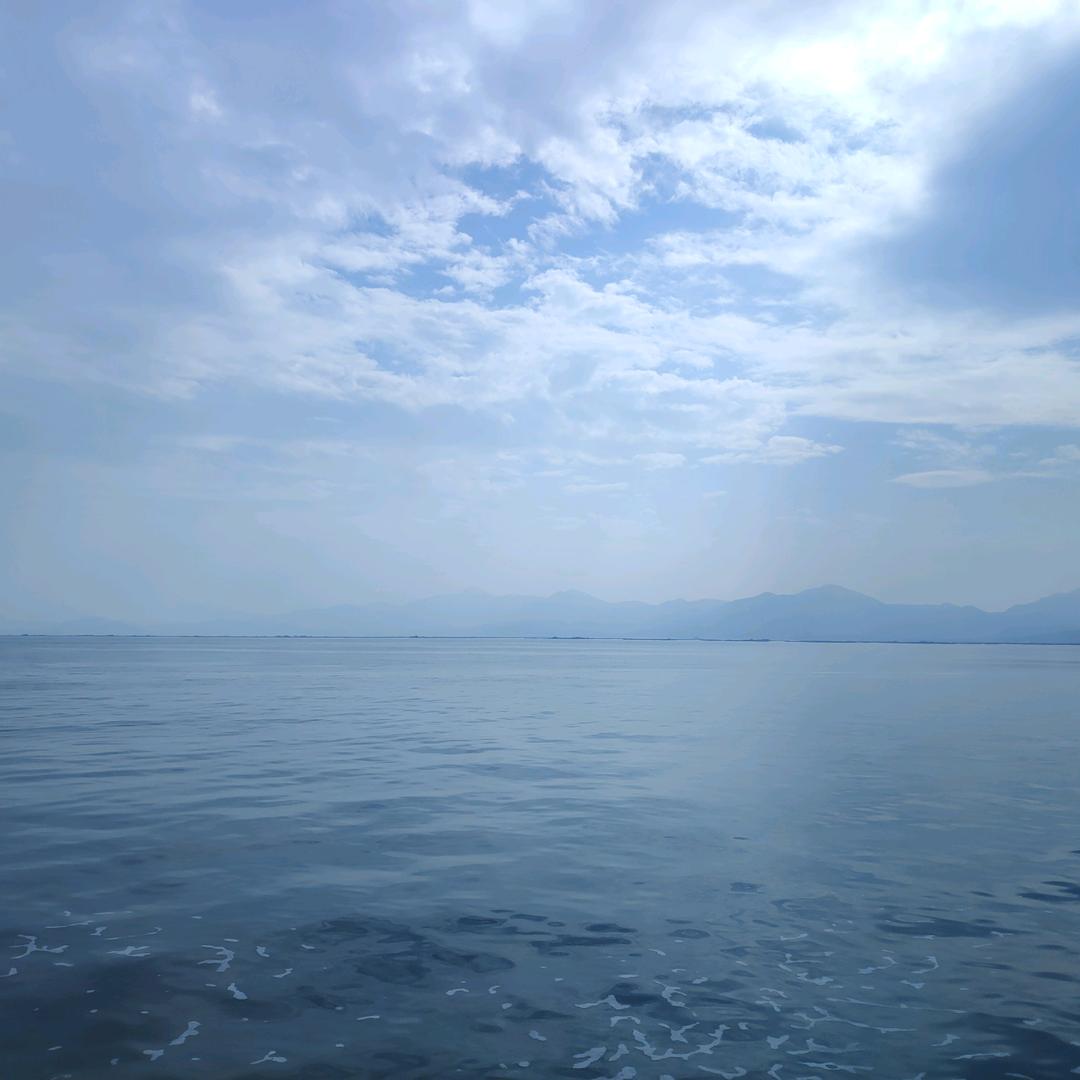(❁´◡`❁)*✲ﾟ*随缘٩( 'ω'