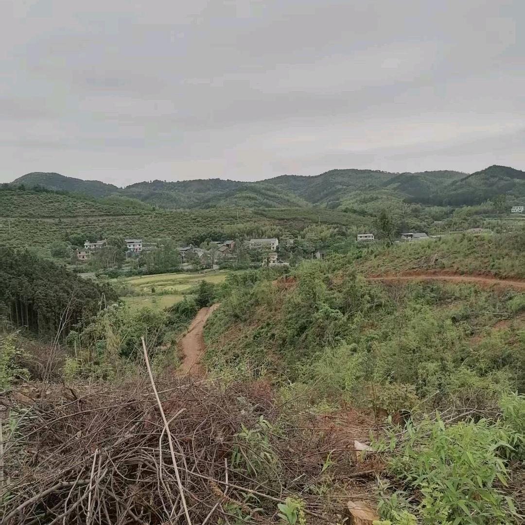 六秀先知