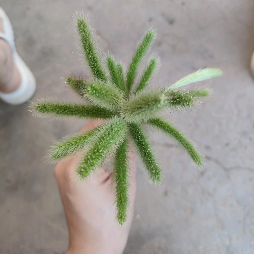 敏敏🍀