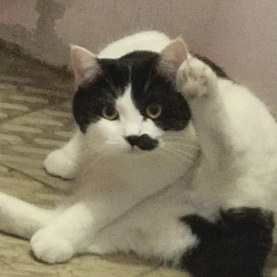 潮汕粿条