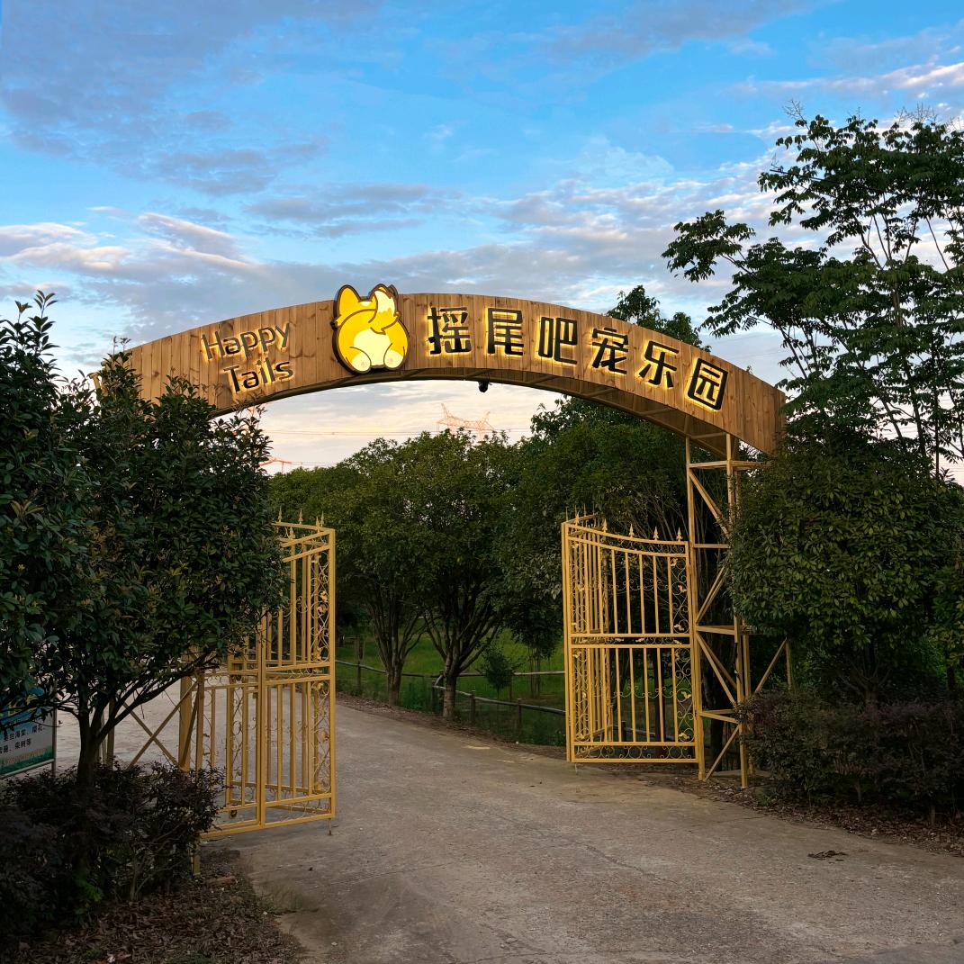 忠宠 摇尾吧（武汉）