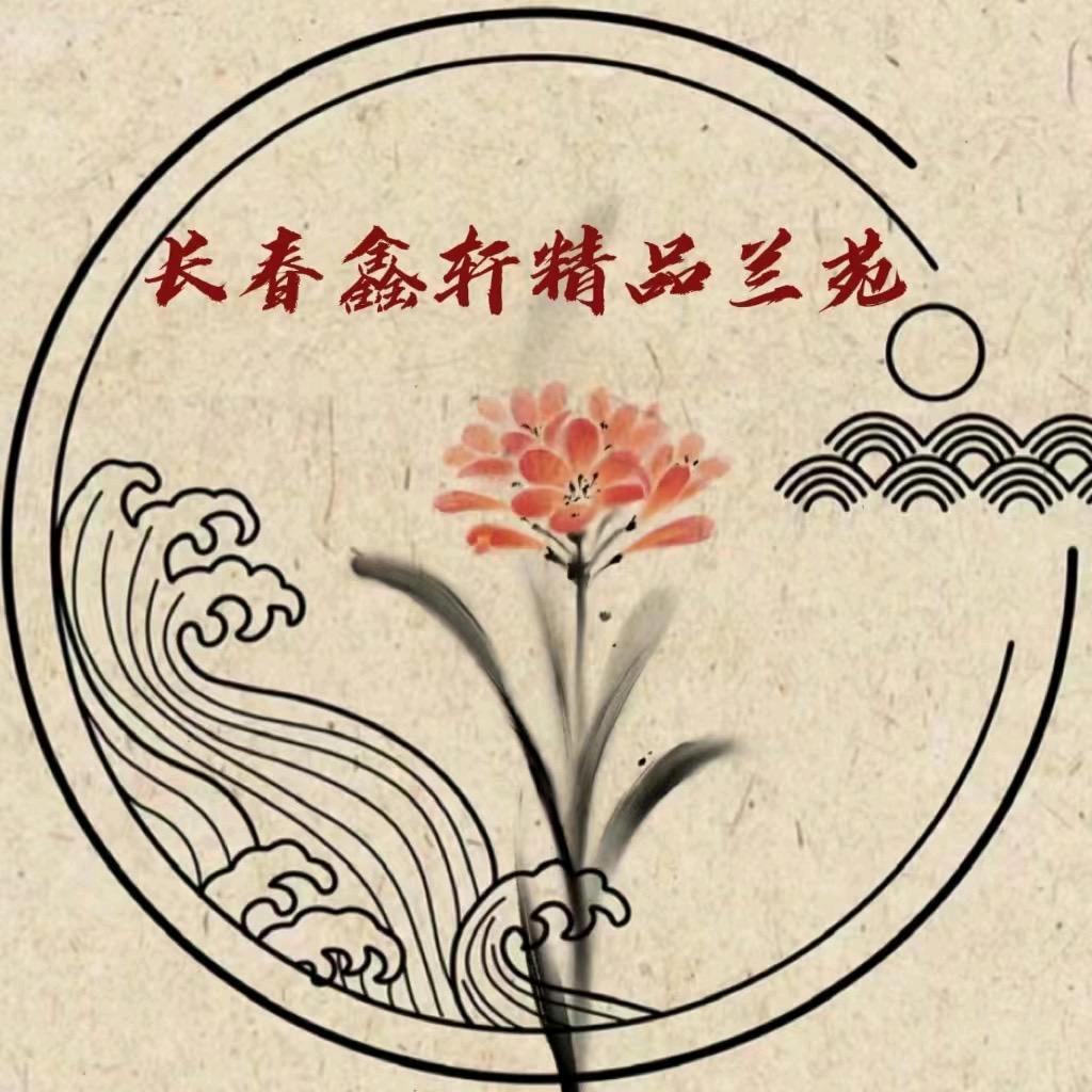 长春鑫轩君子兰苑