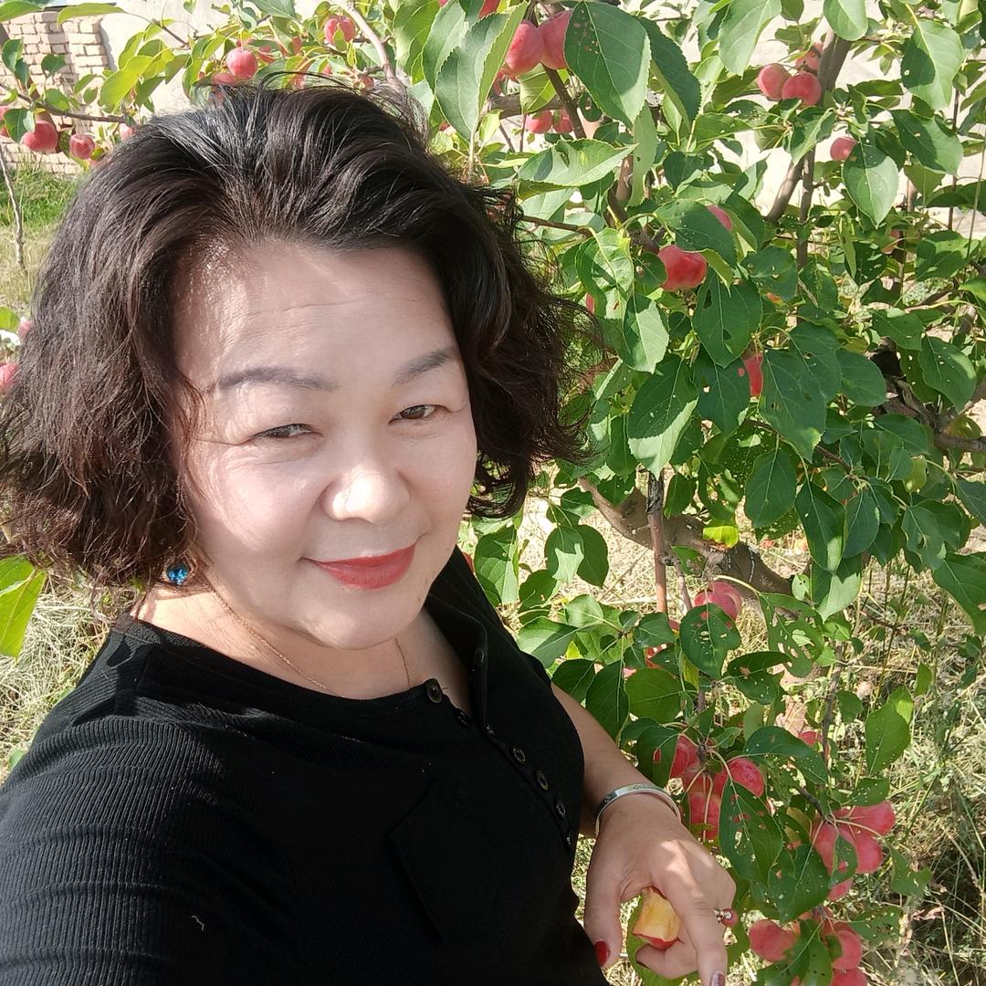 新疆小萍