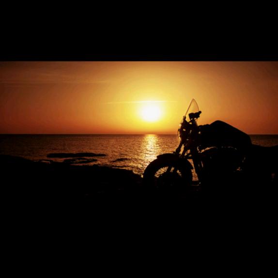 桃李春风一杯酒