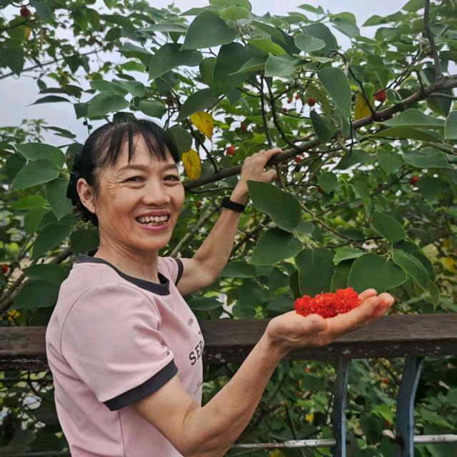 王淑华