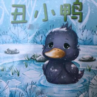 丑小鸭🦆