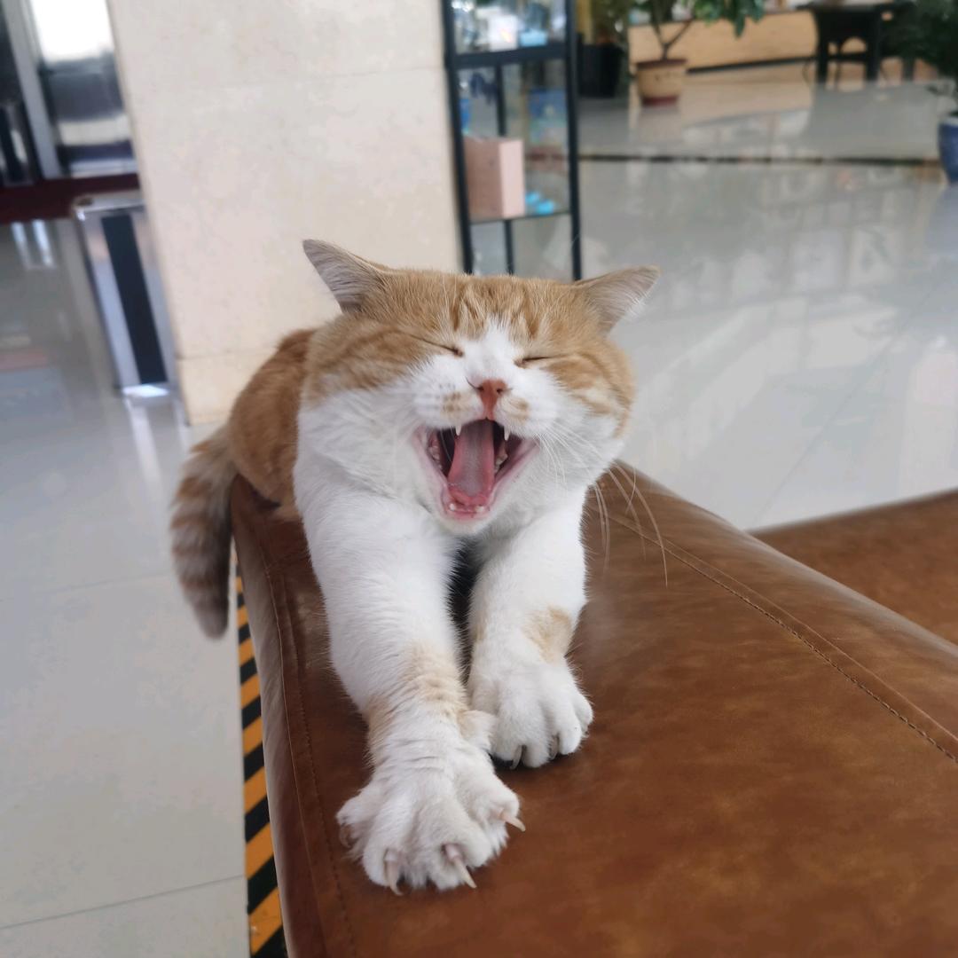 坤哥