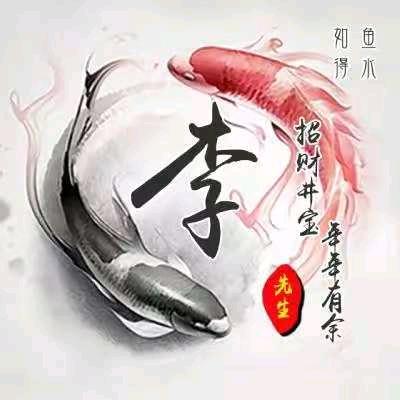 规律一哥