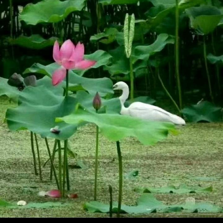 用户
