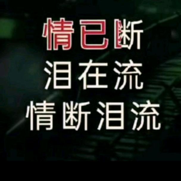 一个人在上海小翠