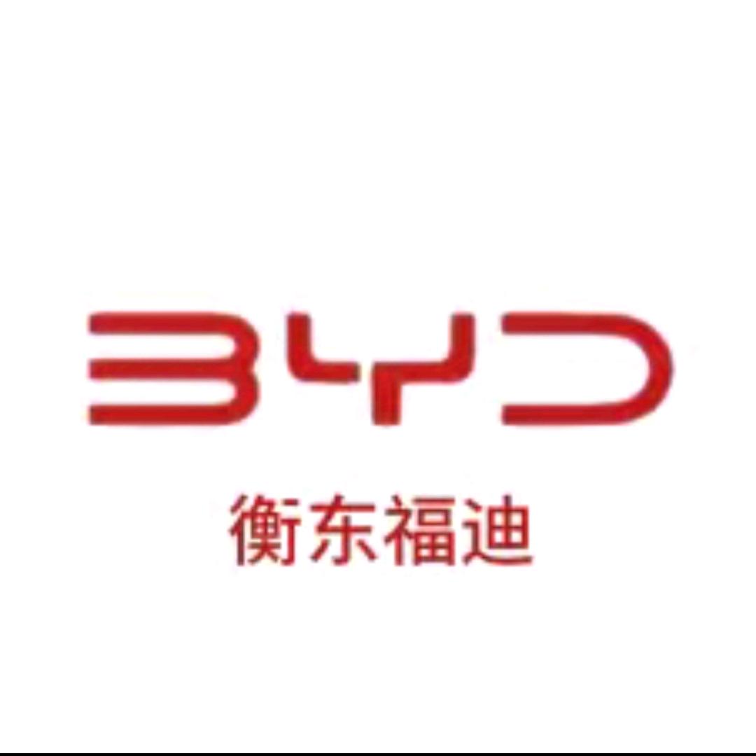 衡东比亚迪王朝网4S店
