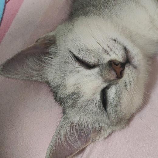 重生之健身修仙不成走上邪修的凡人