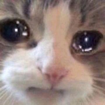 66333