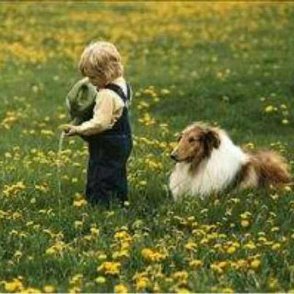 爱果果（宿州万达华城二期东门店）