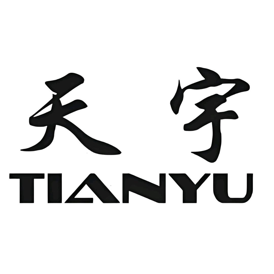 汉中天宇优车精品二手车（钢筋郭）