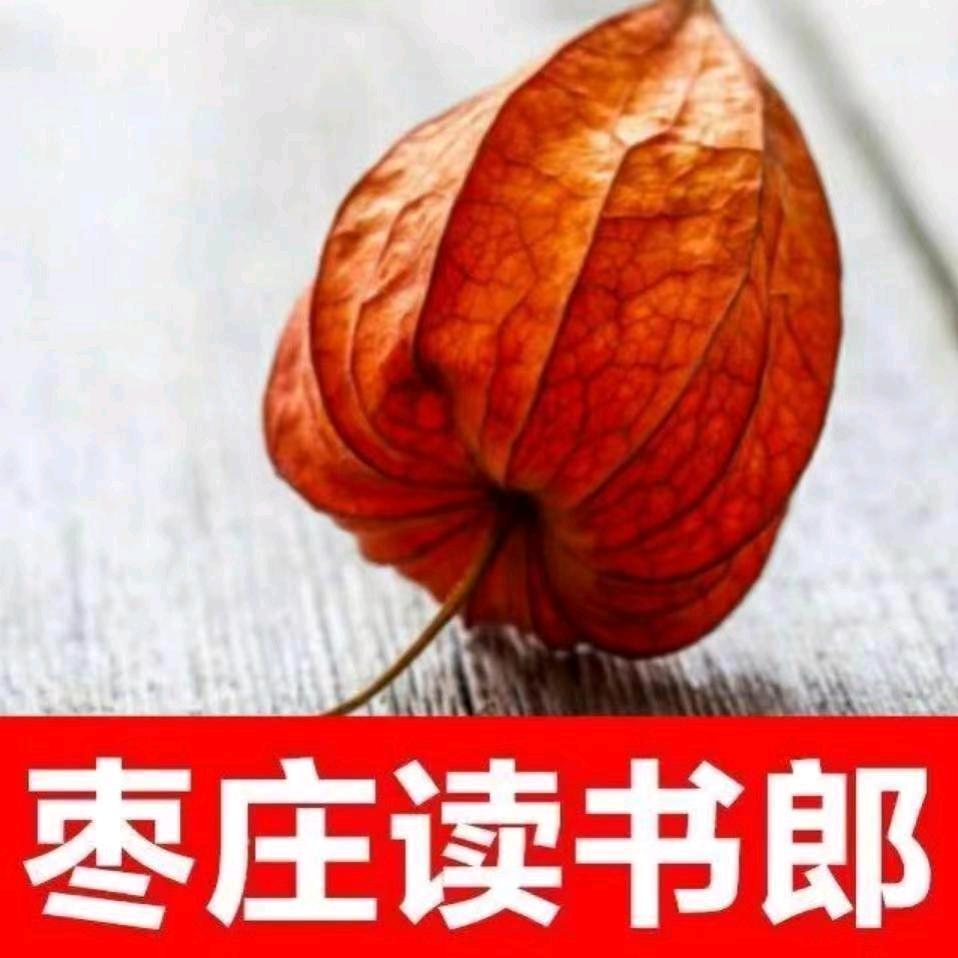 枣庄读书郎