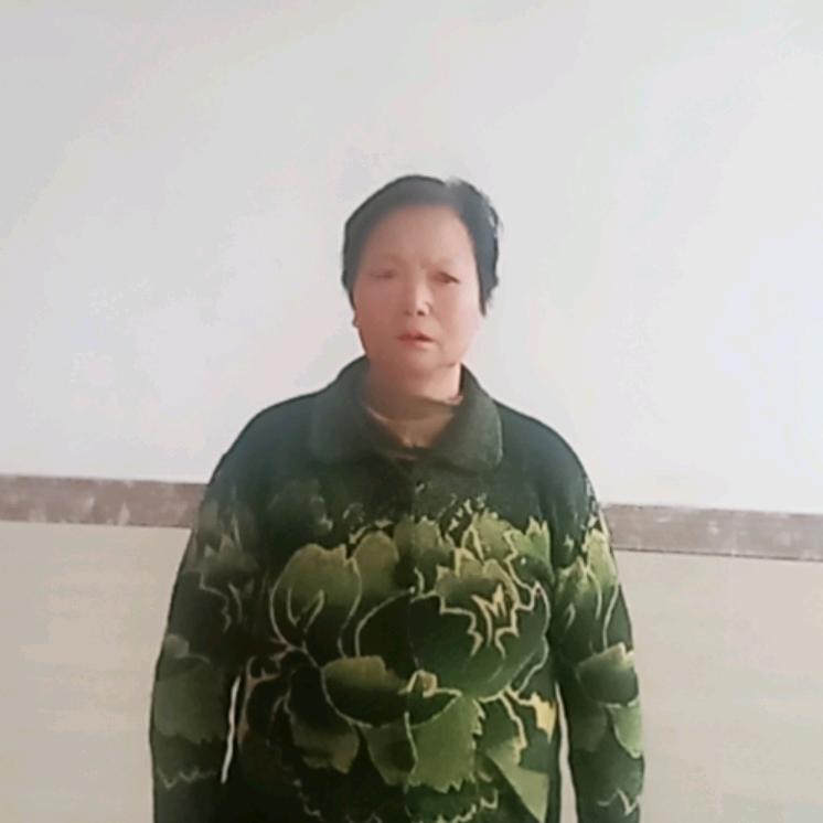 朱金莲