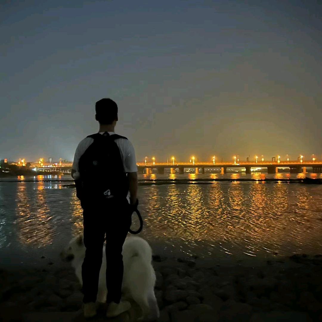 金铲铲小平同学