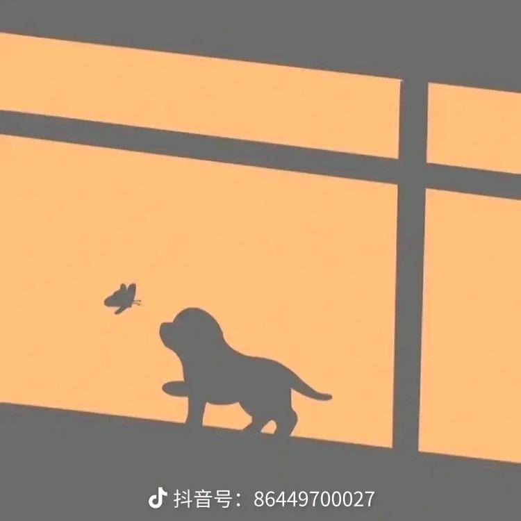 爱吃女孩的猫猫