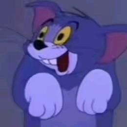 呆呆前