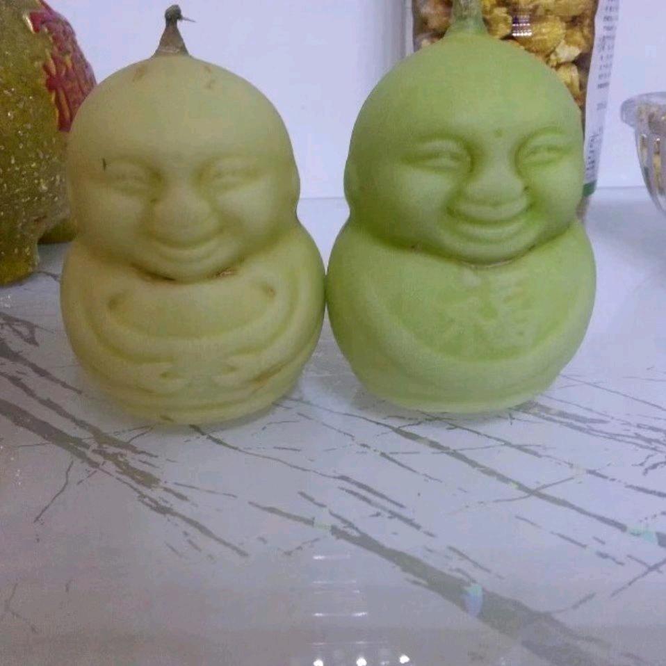 独来读网