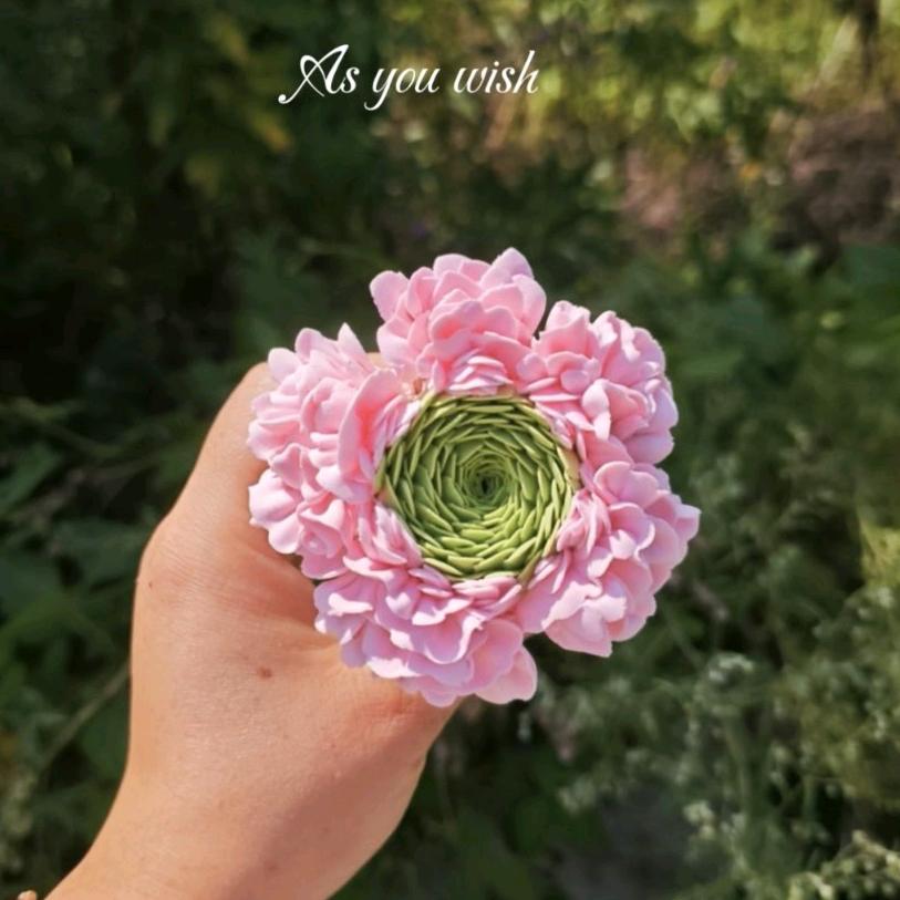 薄荷鱼不可以