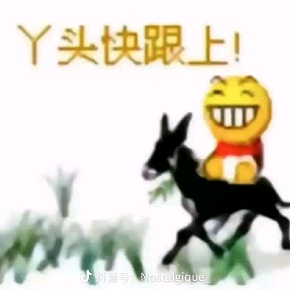 粉红兔子回家
