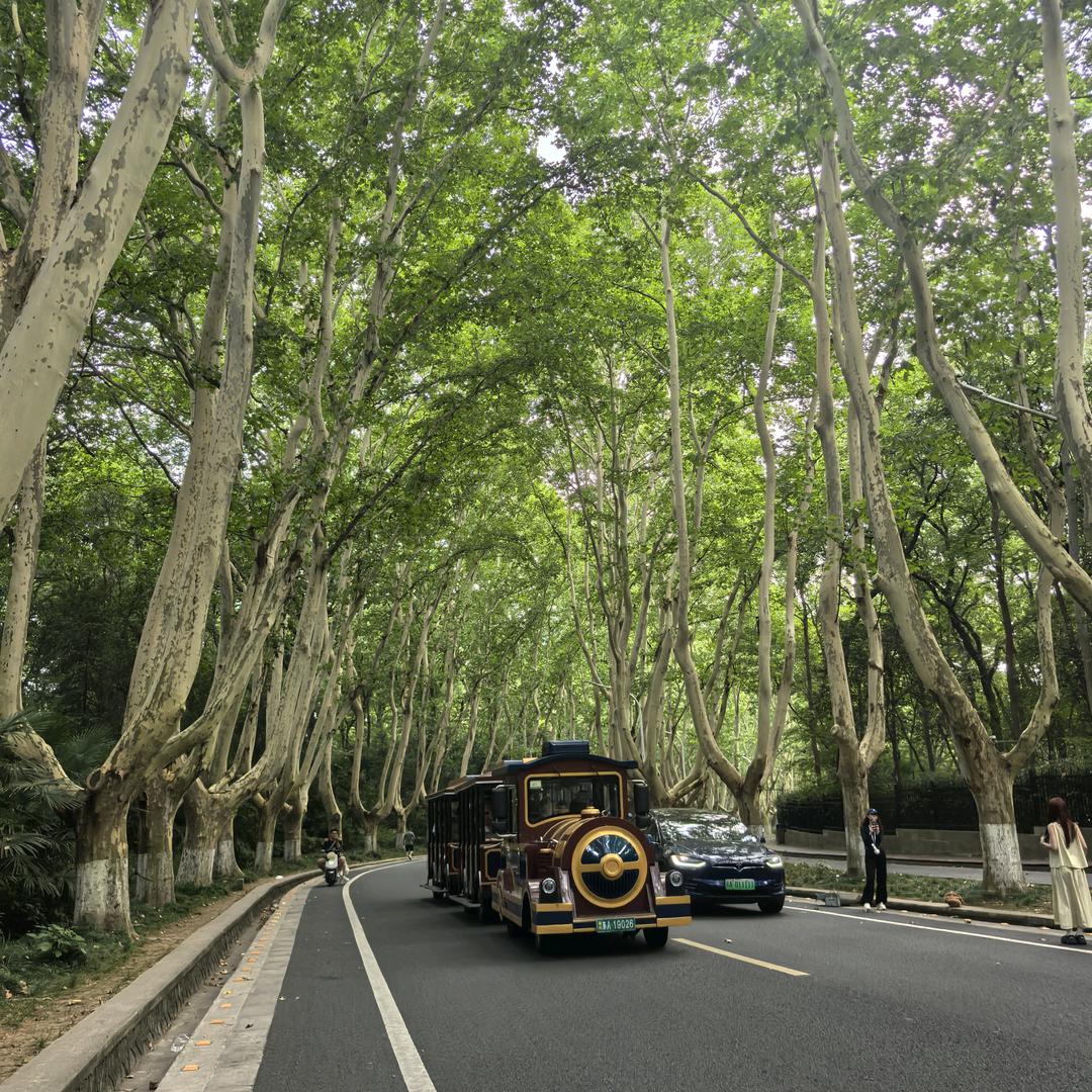 武汉陈辰招工💞