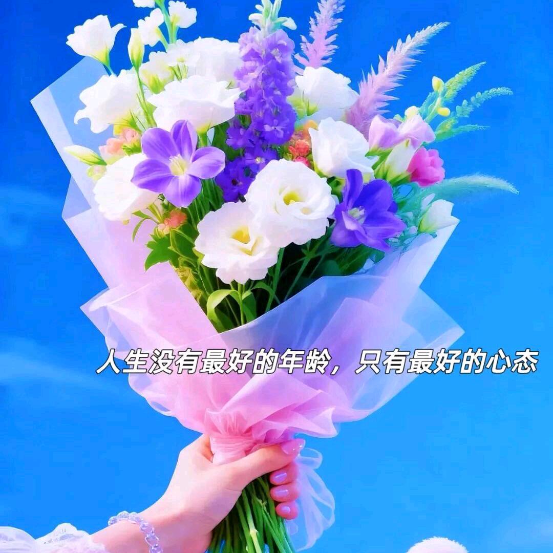 高原牡丹（拒绝私聊）