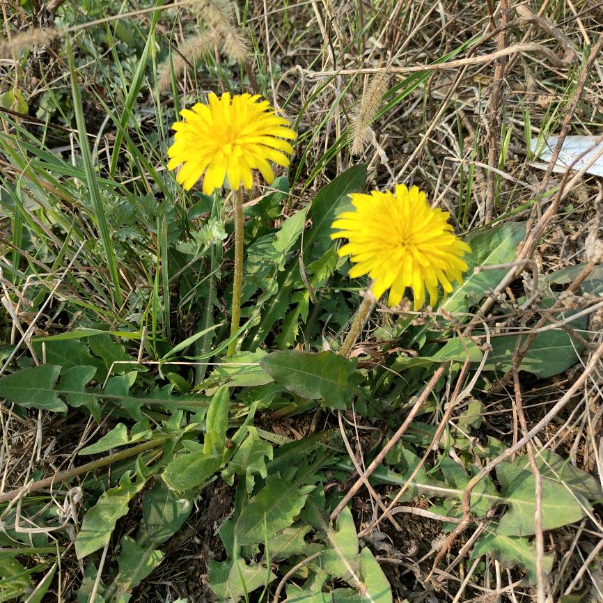 用户5415341566824美丽动人