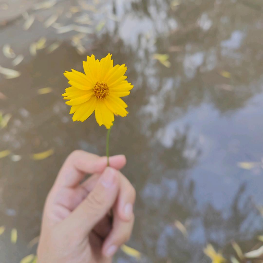 小雨生秋