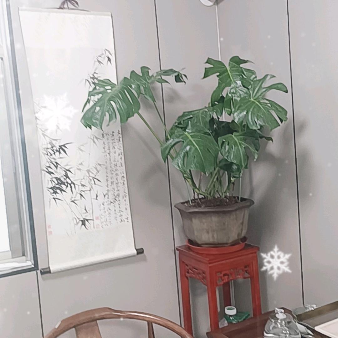 无为