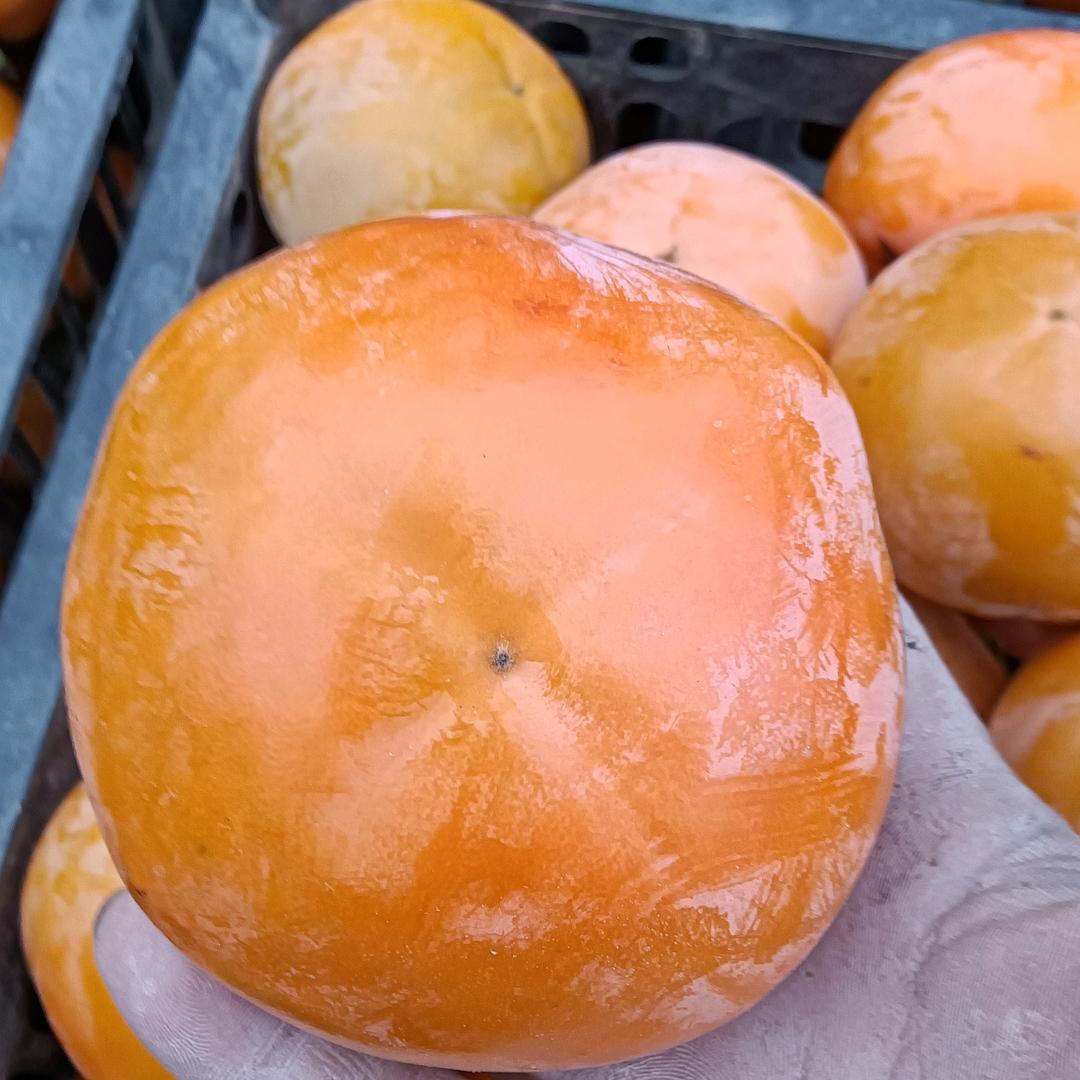 丛来王小勤