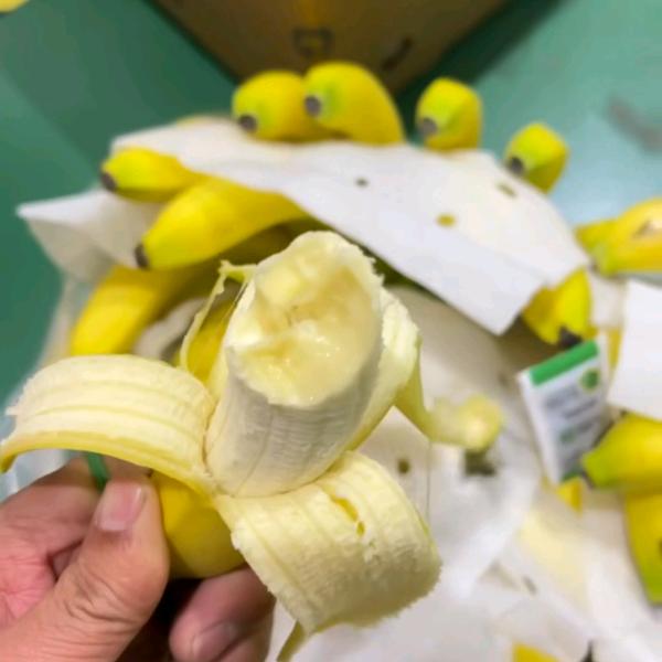 王进口香蕉批发