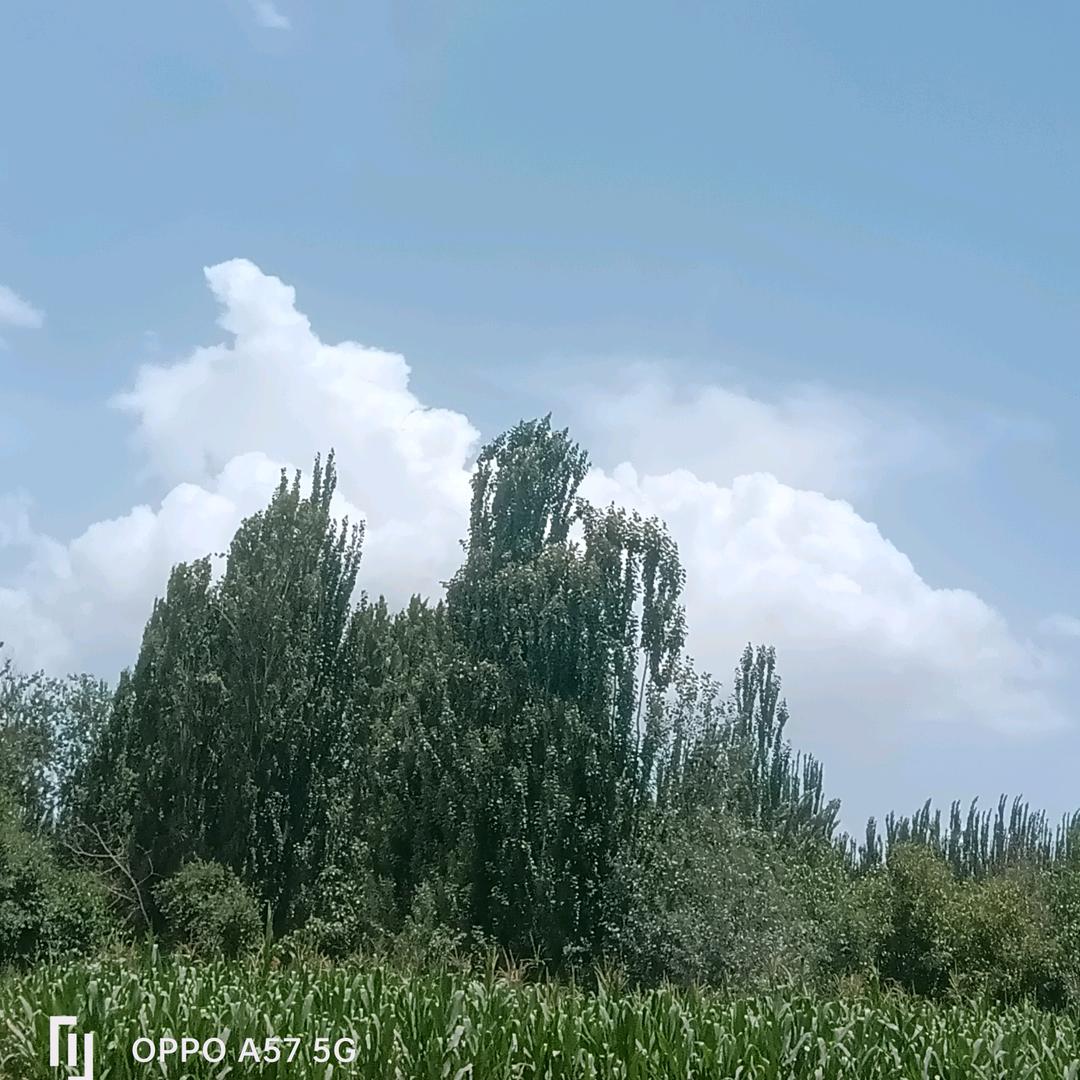 ᴀʏɴᴜʀ