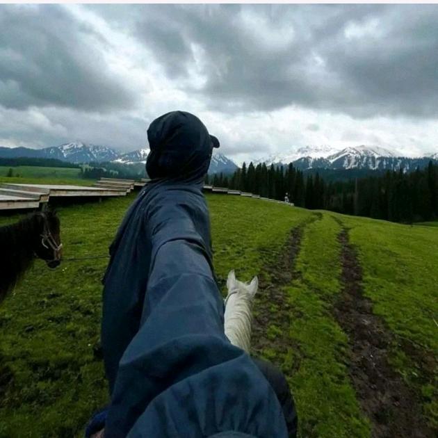 范·sir ☞慵懒的日常