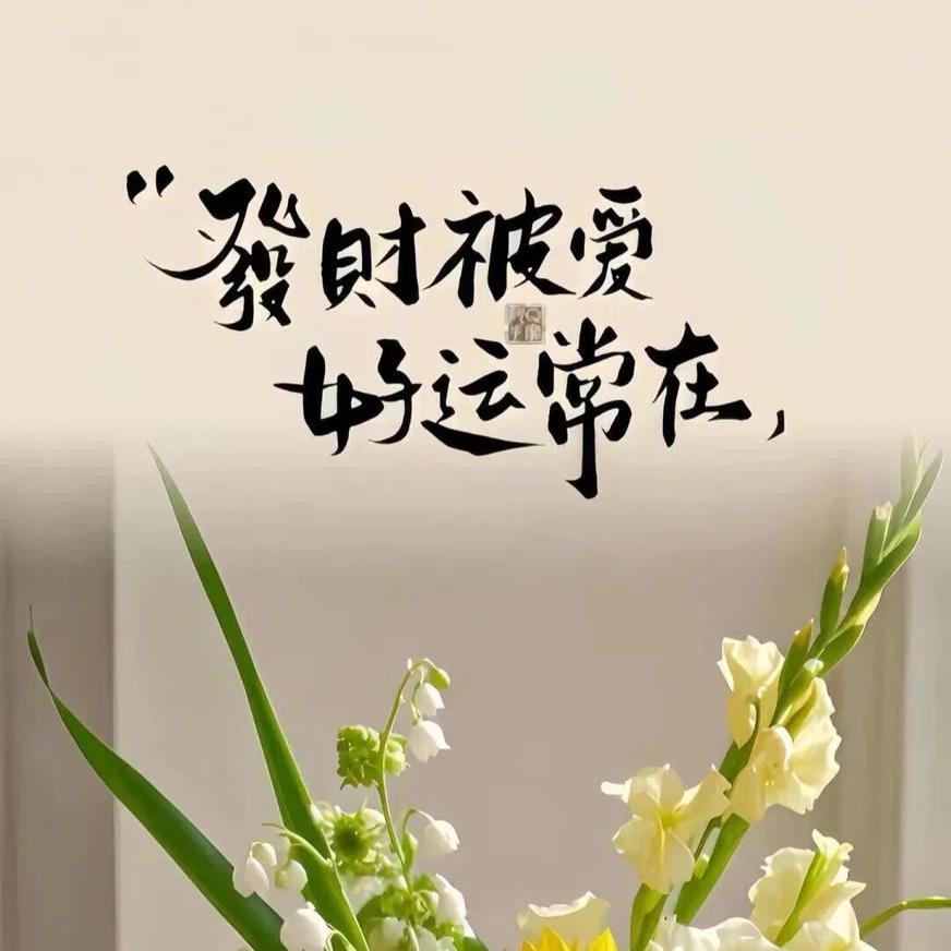 杉屿海💫