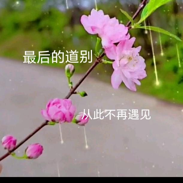 肖:👫💞
